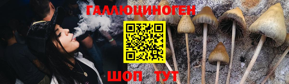 Псилоцибиновые грибы мухоморы Гусиноозёрск