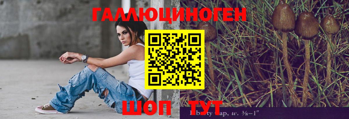 Гусиноозёрск  Галлюциногенные грибы Psilocybe  Вход с VPN  Псилоцибиновые грибы Magic Shrooms 