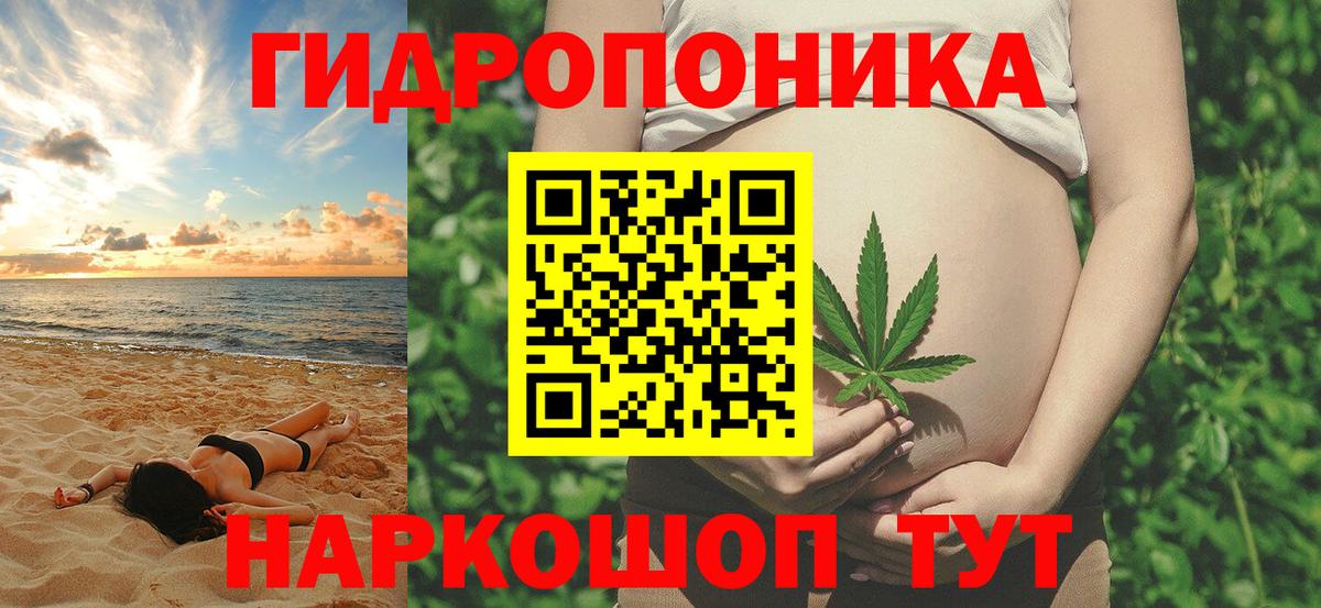 Марихуана индика  Бошки Шишки Ganja  Вход с VPN  Бошки Шишки Ganja  Шишки марихуана планчик  Гусиноозёрск 